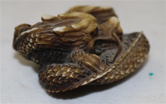 A Japanese stag antler netsuke of two entwined dragons, 20th century, 4.5cm